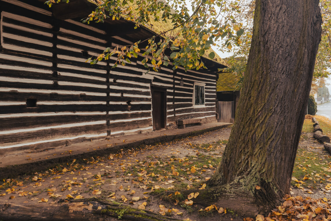 log-house old