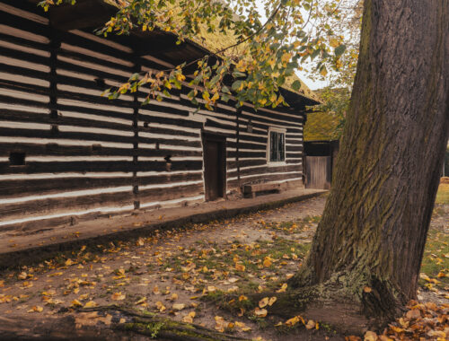 log-house old